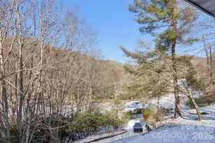 210 Spring Valley Dr, Mars Hill, NC 28754 - Photo 25