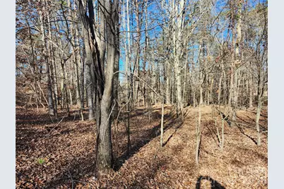 0000 Forest Ridge Road #22, Tryon, NC 28782 - Photo 3