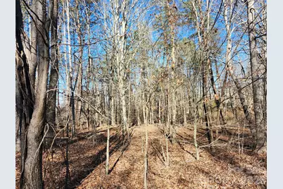 0000 Forest Ridge Road #22, Tryon, NC 28782 - Photo 5