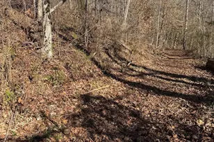 000 E Rambling Creek Rd, Tryon, NC 28782 - Photo 1