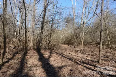 000 E Rambling Creek Road #11, Tryon, NC 28782 - Photo 5