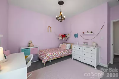 831 Irish Green Drive, Clover, SC 29710 - Photo 43