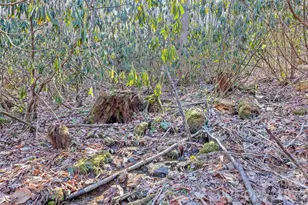 831 Forest Run Rd, Whittier, NC 28789 - Photo 31