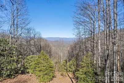 831 Forest Run Road, Whittier, NC 28789 - Photo 7