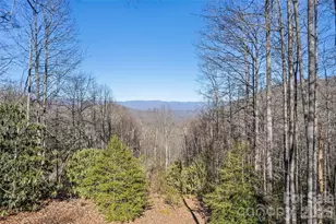 831 Forest Run Rd, Whittier, NC 28789 - Photo 7