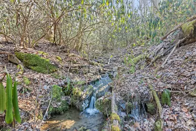 831 Forest Run Road, Whittier, NC 28789 - Photo 33