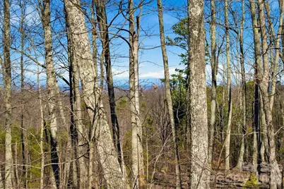 149 Mossy Oak Trail #166/167, Nebo, NC 28761 - Photo 9