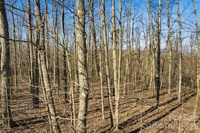 149 Mossy Oak Trail #166/167, Nebo, NC 28761 - Photo 15