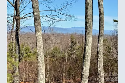 149 Mossy Oak Trail #166/167, Nebo, NC 28761 - Photo 13