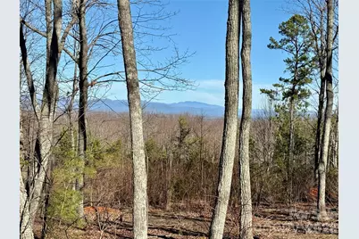 149 Mossy Oak Trail #166/167, Nebo, NC 28761 - Photo 11