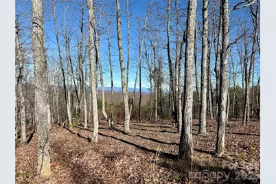 149 Mossy Oak Trail #166/167, Nebo, NC 28761 - Photo 27