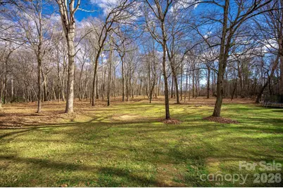 316 Wade Hampton Drive, Matthews, NC 28104 - Photo 3