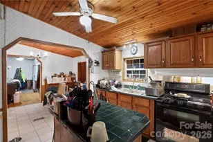 284 Paul Gosnell Rd, Marshall, NC 28753 - Photo 13