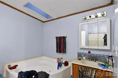 284 Paul Gosnell Road, Marshall, NC 28753 - Photo 19