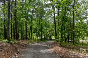4586 Charlotte St, Conover, NC 28613 - Photo 43