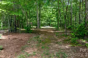 4586 Charlotte St, Conover, NC 28613 - Photo 45