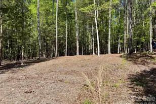 4095 Kingfisher Dr, York, SC 29745 - Photo 43