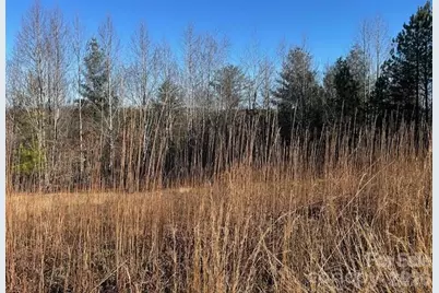 0 Hope Drive, Rutherfordton, NC 28139 - Photo 5