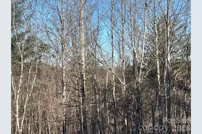 0 Hope Drive, Rutherfordton, NC 28139 - Photo 7