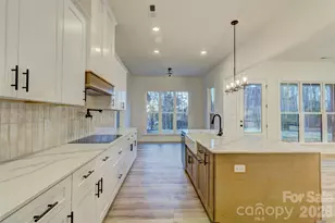 318 Harbor View Dr, Cherryville, NC 28021 - Photo 7