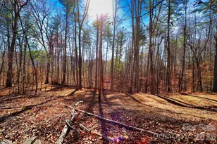 Tbd Rocking Horse Trail, Burnsville, NC 28714 - Photo 7