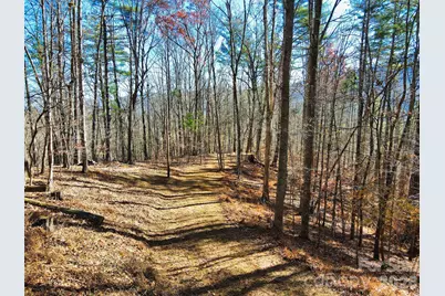 Tbd Rocking Horse Trail, Burnsville, NC 28714 - Photo 13