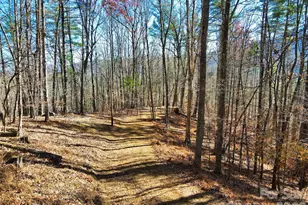 Tbd Rocking Horse Trail, Burnsville, NC 28714 - Photo 13