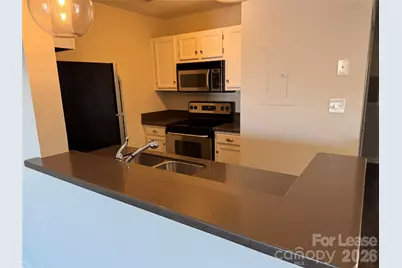 18711 Vineyard Point Lane, Cornelius, NC 28031 - Photo 9