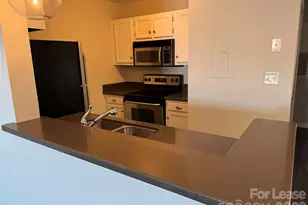 18711 Vineyard Point Ln, Cornelius, NC 28031 - Photo 9