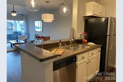 18711 Vineyard Point Lane, Cornelius, NC 28031 - Photo 7