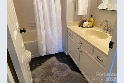 18711 Vineyard Point Lane, Cornelius, NC 28031 - Photo 15