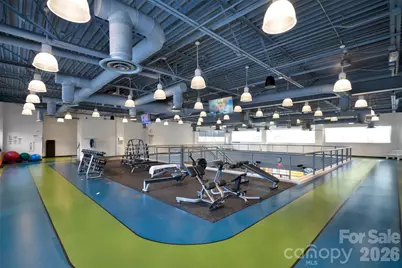 20310 Dovekie Lane, Indian Land, SC 29707 - Photo 35