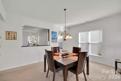 20310 Dovekie Lane, Indian Land, SC 29707 - Photo 17