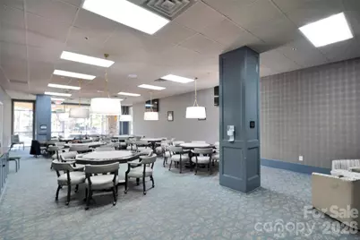 20310 Dovekie Lane, Indian Land, SC 29707 - Photo 37