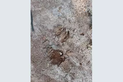 134 W McBrayer Lane, Mooresboro, NC 28114 - Photo 7