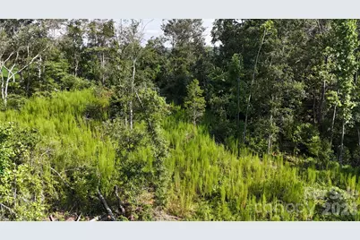 134 W McBrayer Lane, Mooresboro, NC 28114 - Photo 13