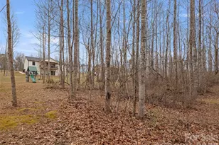 127 Walt Dr, Hendersonville, NC 28792 - Photo 29