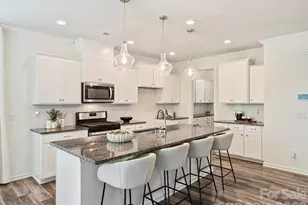 19214 Hawk Haven Ln, Charlotte, NC 28278 - Photo 7