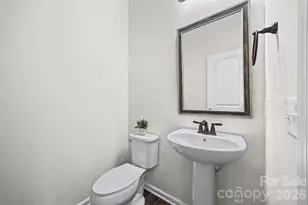 9236 Ainslie Downs St, Charlotte, NC 28273 - Photo 13