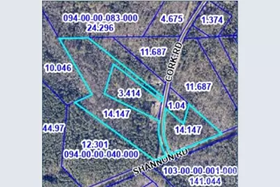 3017 Cork Road, Blackstock, SC 29014 - Photo 1