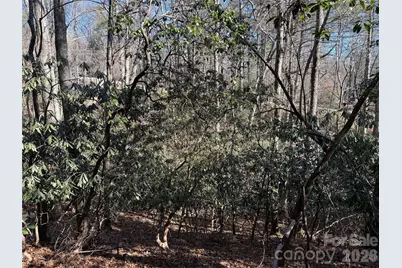 Lot 59 High Hemlock Trail, Brevard, NC 28712 - Photo 7