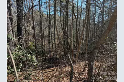 Lot 59 High Hemlock Trail, Brevard, NC 28712 - Photo 5