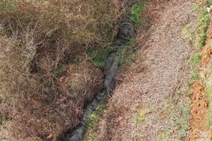 186 Travelers Point, Waynesville, NC 28785 - Photo 35