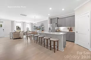 1066 Whistling Pl, Indian Trail, NC 28079 - Photo 1