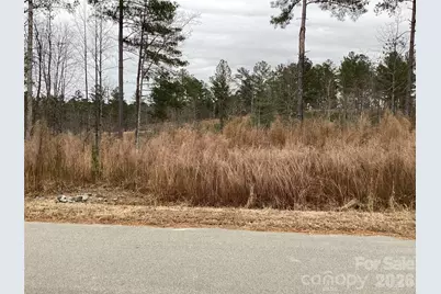 2146 Pikes Peak Ridge #154, Connelly Springs, NC 28612 - Photo 1