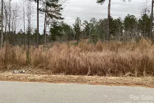 2146 Pikes Peak Ridge, Connelly Springs, NC 28612 - Photo 1