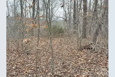 0000 E Rambling Creek Drive #26, Tryon, NC 28782 - Photo 3