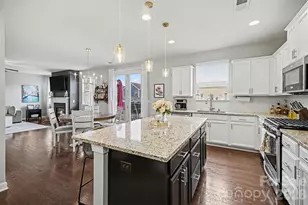 18314 McKee Rd, Charlotte, NC 28278 - Photo 17