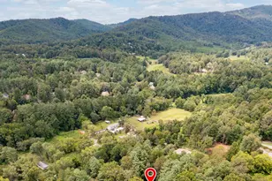 15 Pine Ridge Ct, Fletcher, NC 28732 - Photo 37