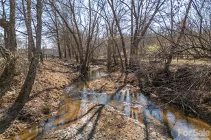 1849 Jackson Grove Rd, Columbus, NC 28722 - Photo 33